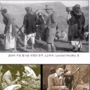 우르 이미지