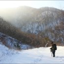 곰배령 길목에서 이미지