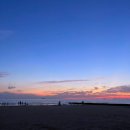 아일랜드리솜 이미지