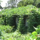 가음초등학교 병설유치원 이미지