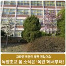 녹양초등학교 이미지