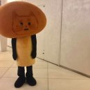 보키