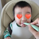 죽시장 | 유기농 단계별 이유식 추천, 본죽에서 만든 &#39;베이비본죽&#39;