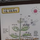 자연퇴비 이미지