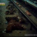 소농농장 이미지