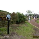 트릭아트뮤지엄 이미지