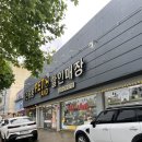 강아지 유모차 할인매장 펫랜드에서 로얄테일즈, 피카고 유모차 시승 해보기