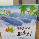 광양백운산서울대학술림고로쇠