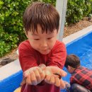 기계초 병설유치원 이미지