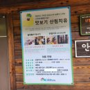 강원도 강릉 숲길 : 국립대관령치유의숲 숲길 걷고 산림치유 프로그램으로 힐링여행