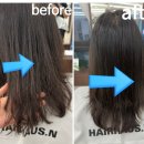 헤어다옴 | 덕계미용실 헤어하우스앤 개털탈출 헤어크리닉 받고옴 솔직후기