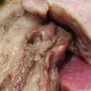 보름식당 이미지