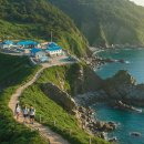 홍도유람선협업주식회사 | 포항에서 울릉도 가는 크루즈 배편 시간 요금 사이트