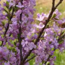 바다그린 이미지