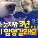 개st하우스 이미지