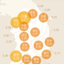 개화(아) 이미지