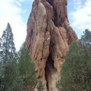 넌센스 퀴즈 이미지