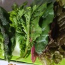 시골돌솥쌈밥 이미지