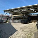 계림초등학교 후문 이미지