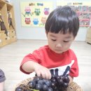 포도 오감 놀이해요🍇🍇 이미지