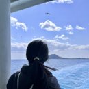 웰빙국내선약국 이미지