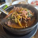 보령한우영농조합 | 대천해수욕장맛집 보령엄나무골한우 방문솔직후기