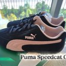 다람쥐신발나라 이미지