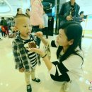 슈바르츠발트민박 이미지