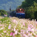 솔로아트 이미지