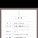 원피드캠 네이버블로그