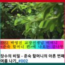 【윤승원 에세이】 이웃 박 교장선생님댁 ‘감나무 가지치기’를 바라보며 이미지