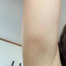 NEMO | [디즈니X르망고] Finding Nemo Blue Stripe, 르망고 니모 수영복 후기