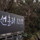 선흘1212 이미지