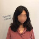 탤런트미용실 이미지