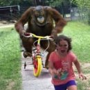 행복으로의초대 이미지