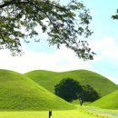 효니네 민박 이미지