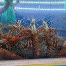 몽돌식육식당 이미지