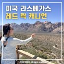 캐니언스낵 | [🇺🇸미국 여행] 그랜드 캐니언 투어 갈 시간 없을 때 : 레드 락 캐니언