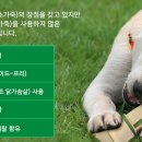 마루덴탈 이미지