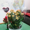 진교스토아 이미지