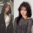 박보영 카카오 검색결과