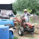 정자리농장 이미지