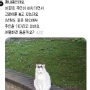 장수해