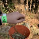 조림목장 이미지