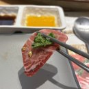 전주 참치회 맛집 본참치 송천에코점에서 제대로 즐긴 스페셜 정식 후기