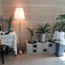 뷰티호텔 이미지