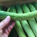 이기순농장 이미지