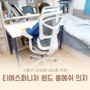 티에스퍼니처 | 티에스퍼니처 윈드 올메쉬 의자 사용기 (공부방/게임룸 추천)