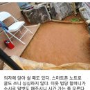 [윤승원 폰카 에세이] 어르신 맨발 놀이터 이미지