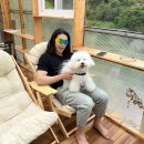 소일뜨락 이미지